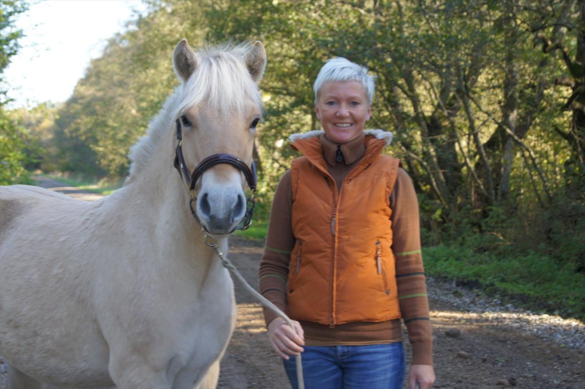 Fjordhest Hyllesteds ballade - Et Pragteksemplar af en fantastisk 1 års - så afbalanceret  - og så smuk;D billede 1