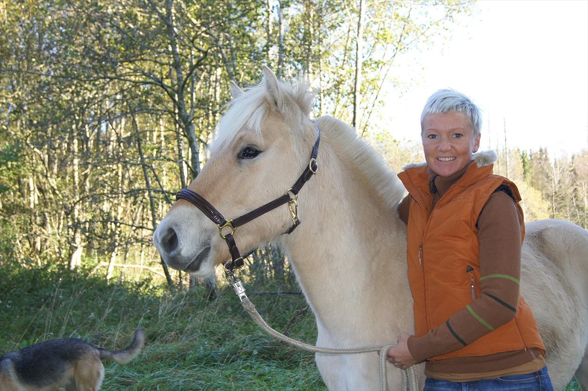 Fjordhest Hyllesteds ballade - Ballade med en tur i skoven - skønt at have den i baghaven billede 2