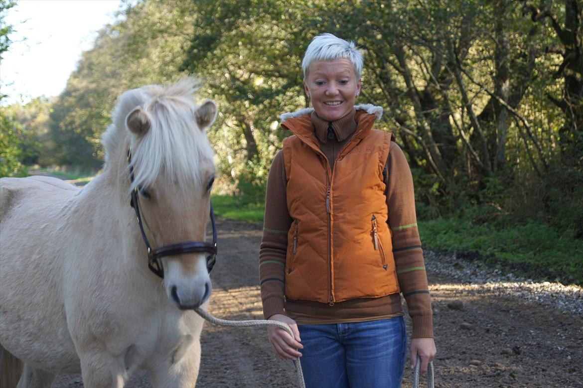Fjordhest Hyllesteds ballade - Vi har begge fået øje på noget;D billede 3