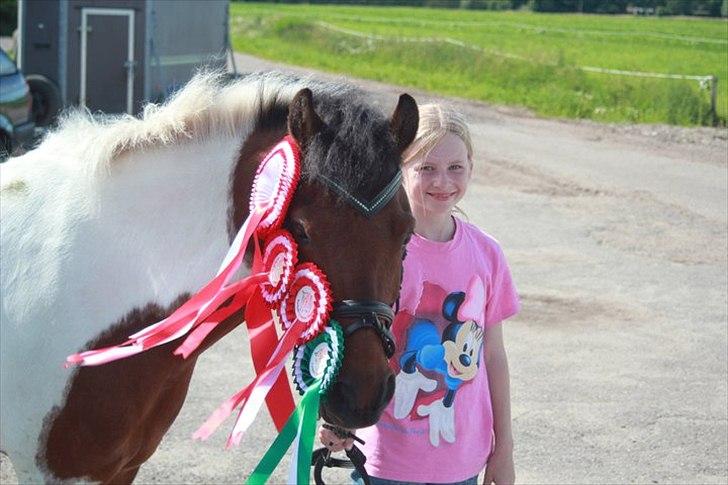 Anden særlig race Jumpy - Efter endt stævne - Rødekro Sportsrideklub. LC - 1. plads, LC cup kval. - 3. plads, LC - 1. plads,  LB cup finale - 1 plads. 



 billede 5