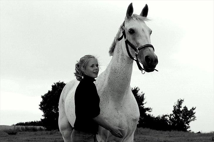 Hannoveraner Ferrari - 16.10.11 - 2 år med Ferrari! <3  billede 5