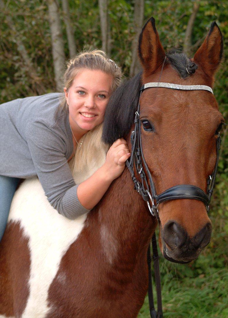 Hollandsk Sportspony Elmelunds Dalton - Nuhhr Dalle :D billede 8