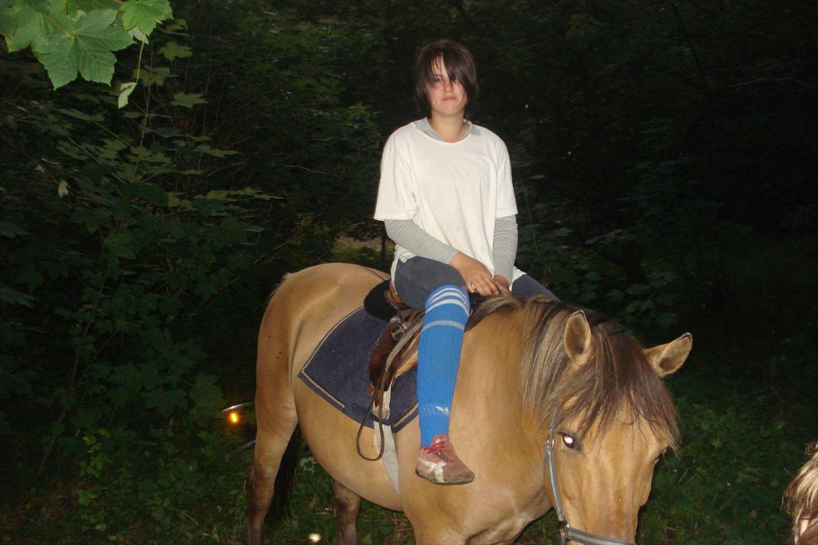 Anden særlig race Kandis billede 3