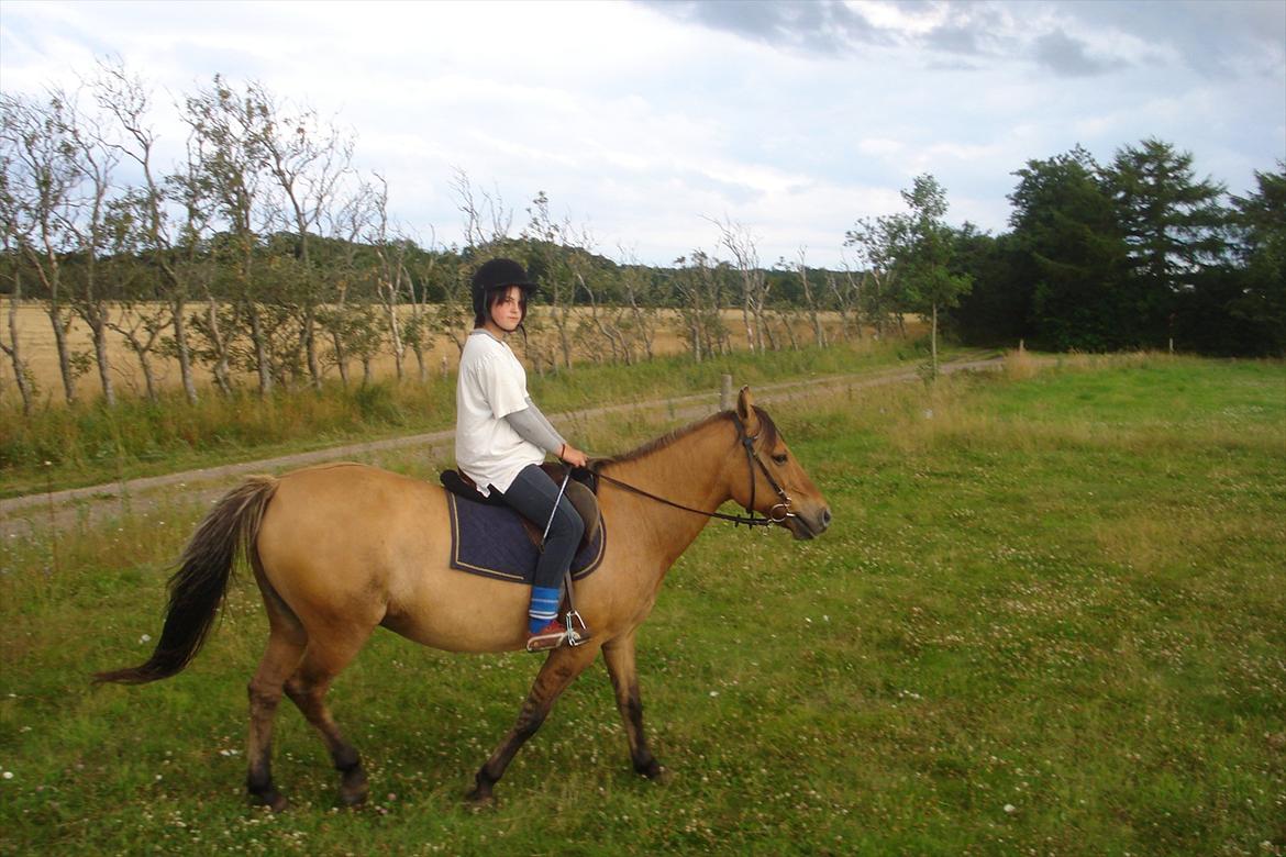 Anden særlig race Kandis billede 4