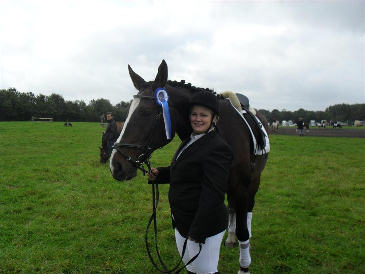 Dansk Varmblod Minelli Mosegård  - stævne september 2011 billede 19