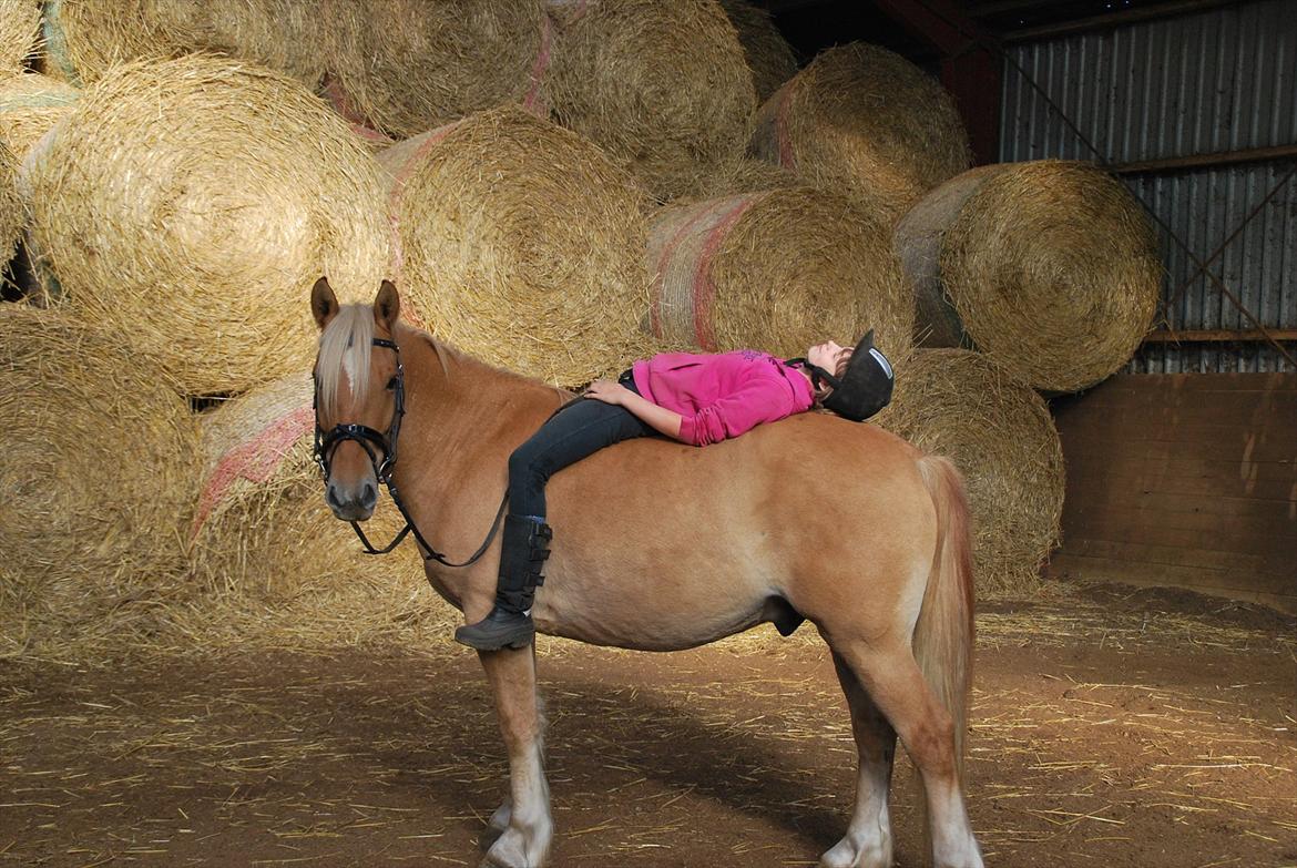 Anden særlig race Valentino <3 *Tino* | My Soulmate|<3 - Min skat!<3 billede 6