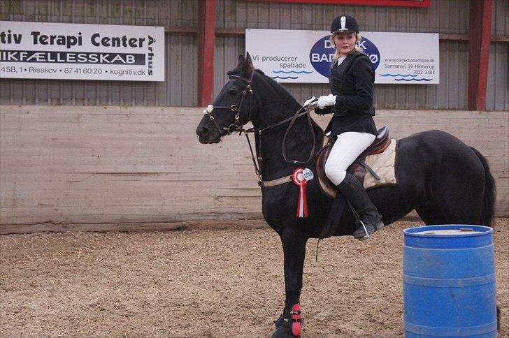 Frieser Golda - 9/10-11 spring stævne åsrk billede 19