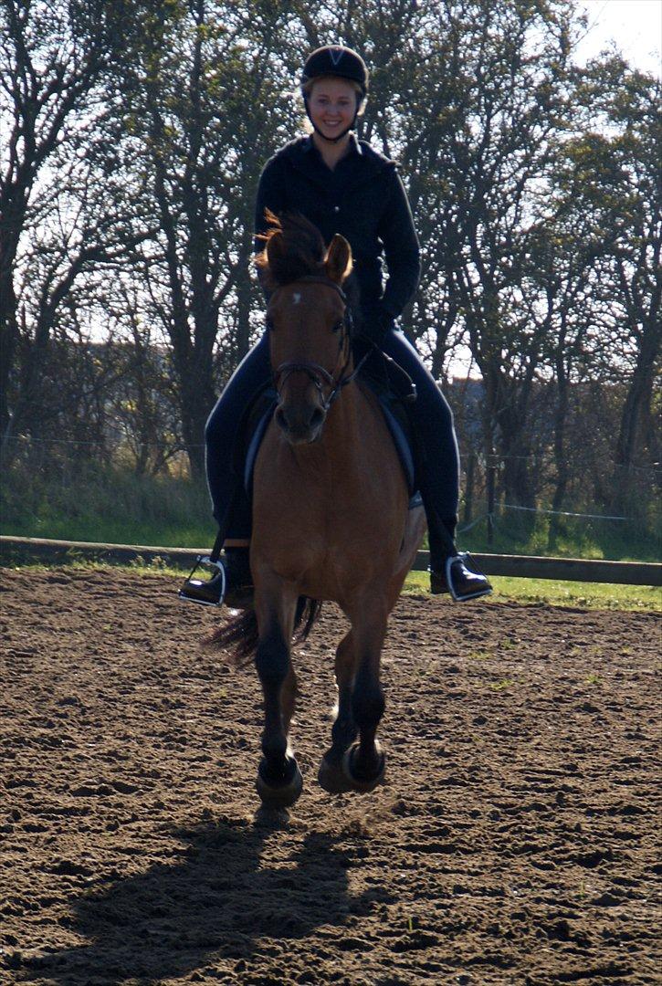 Anden særlig race Lucky  - Lucky... jeg elsker dig! billede 2