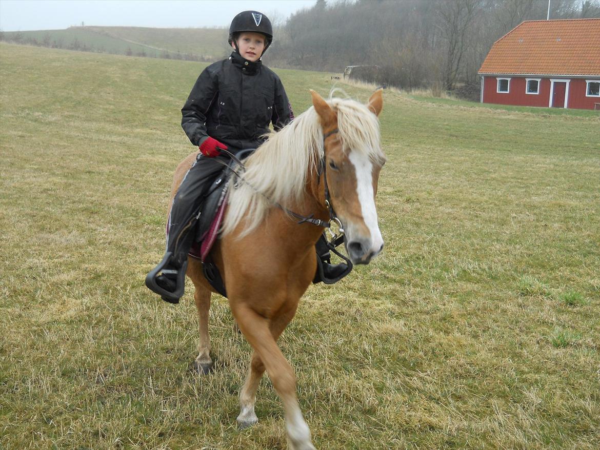 Anden særlig race Andrea - Ride tur:D. billede 3