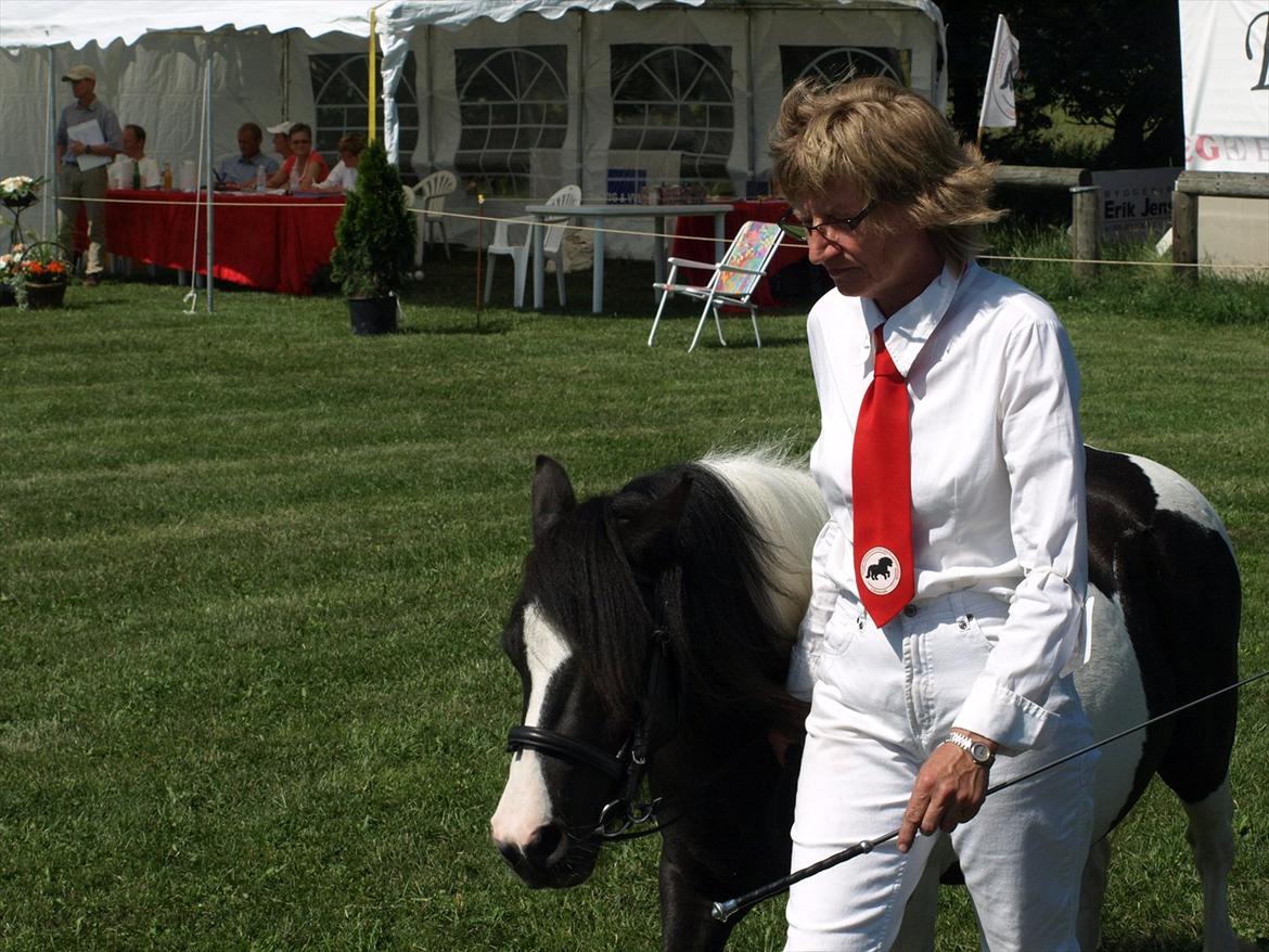 Shetlænder Sandgaardens .W. Djipsy billede 9