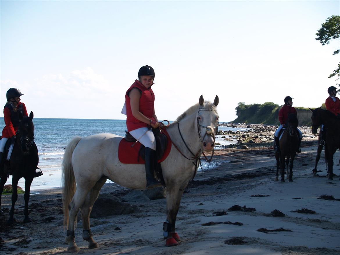 Knabstrupper Simone af lundegaard *MySoulMate! <3* billede 9