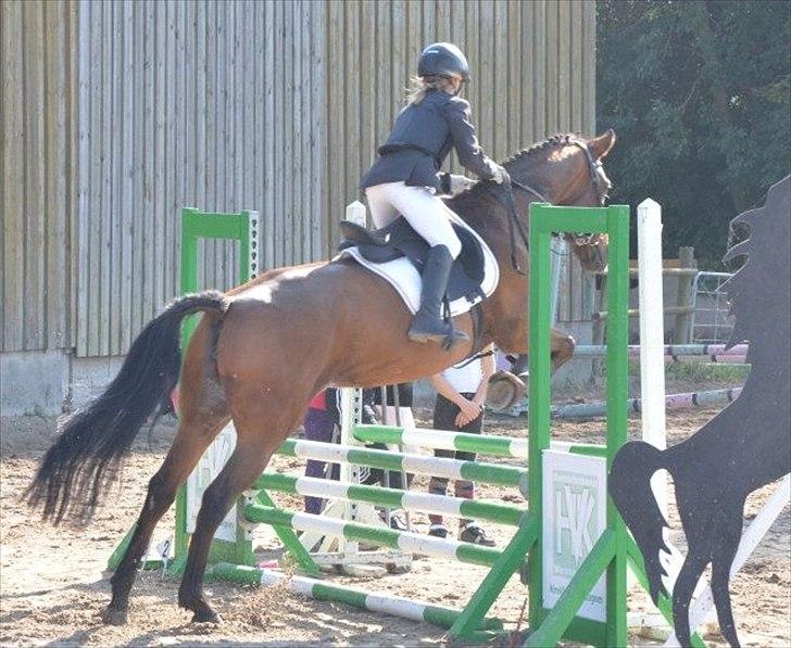 DSP MIRA-BELL VENTURE  - Stevnsbogaard. 1.plads på Johnny og 3.plads på Mirabell i LD. billede 5