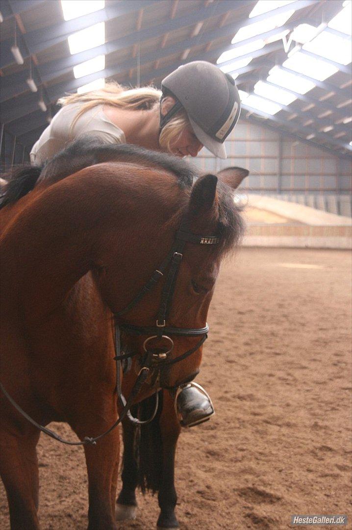 Anden særlig race Kildegårdens Socky - Elsker virkelig det her billede;*Fotograf:Nicoline(: billede 5