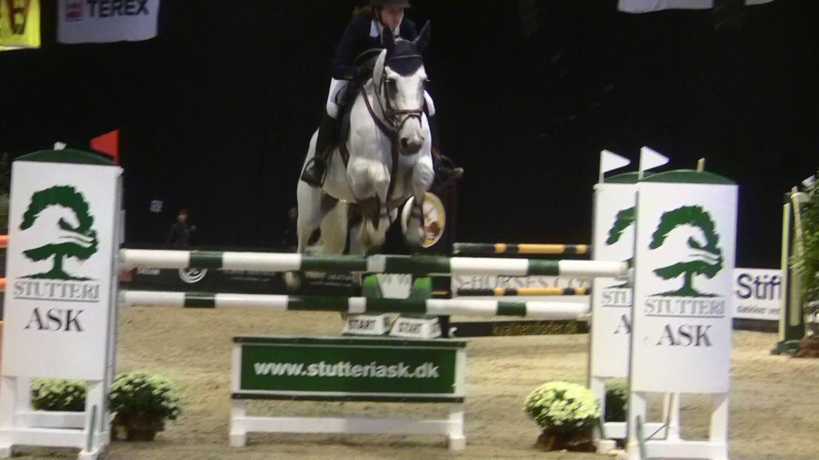 Holstener - Quidditch 13 - JBK 2011 125cm billede 8