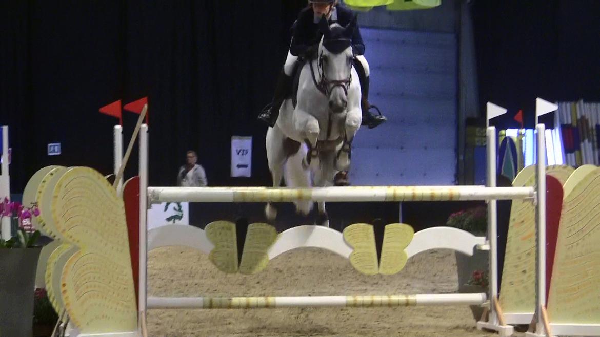 Holstener - Quidditch 13 - JBK 2011 CSI* 125cm billede 9