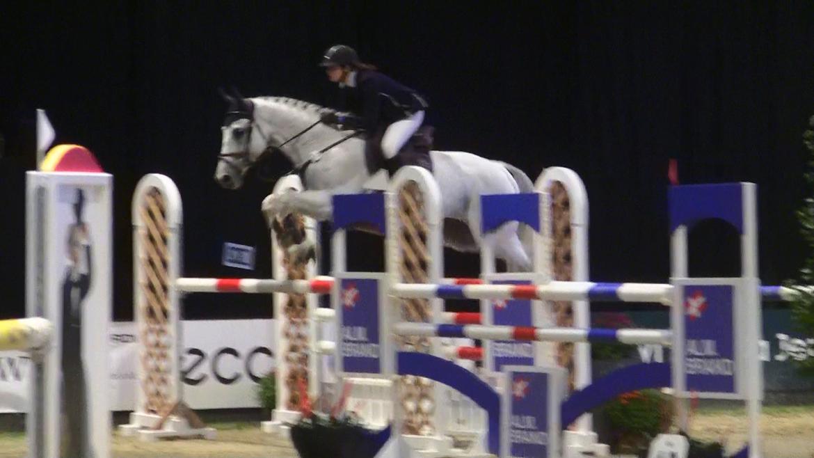 Holstener - Quidditch 13 - JBK 2011 CSI* 125cm billede 10