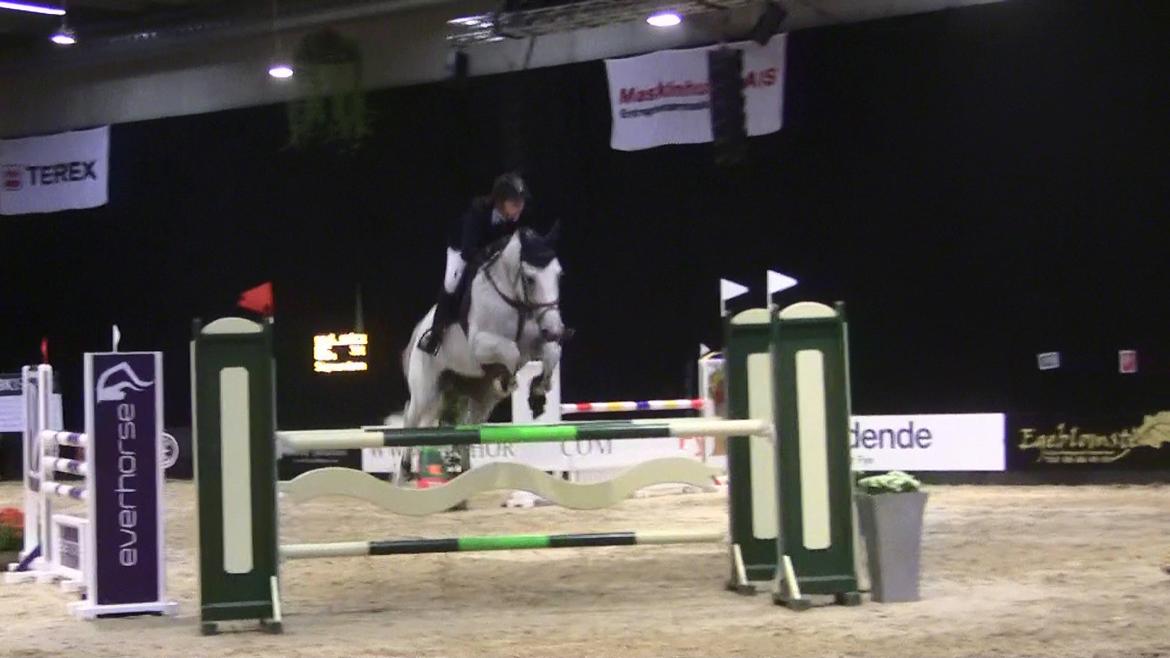 Holstener - Quidditch 13 - JBK 2011 CSI* 120cm billede 11