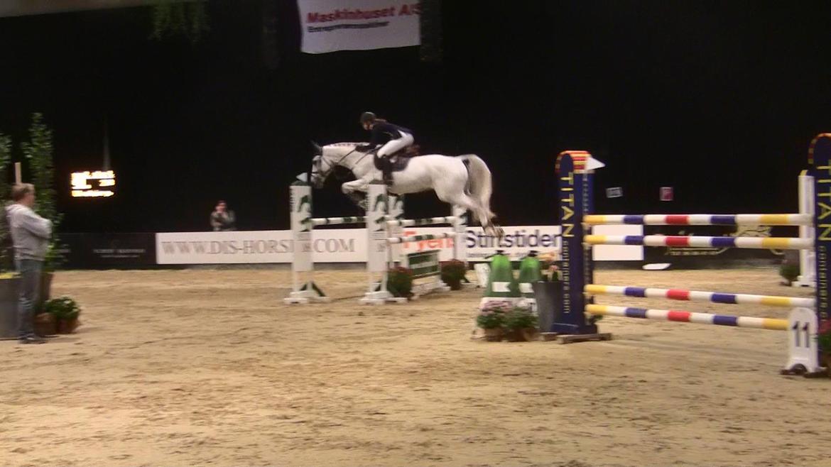 Holstener - Quidditch 13 - JBK 2011 CSI* 130cm billede 14