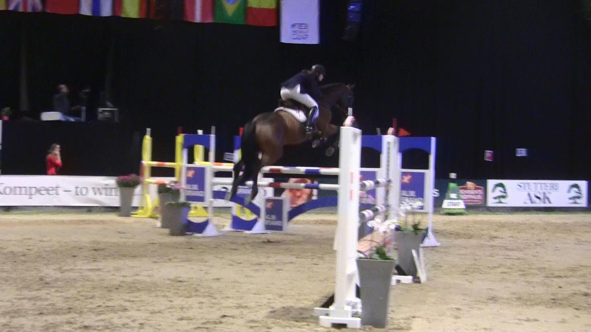 Svensk Varmblod - Lord Nelson (SWB) - JBK CSI* 130cm billede 19