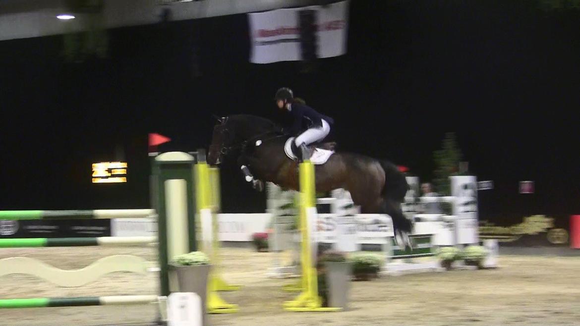 Dansk Varmblod - Caliber - JBK CSI* 135cm billede 14