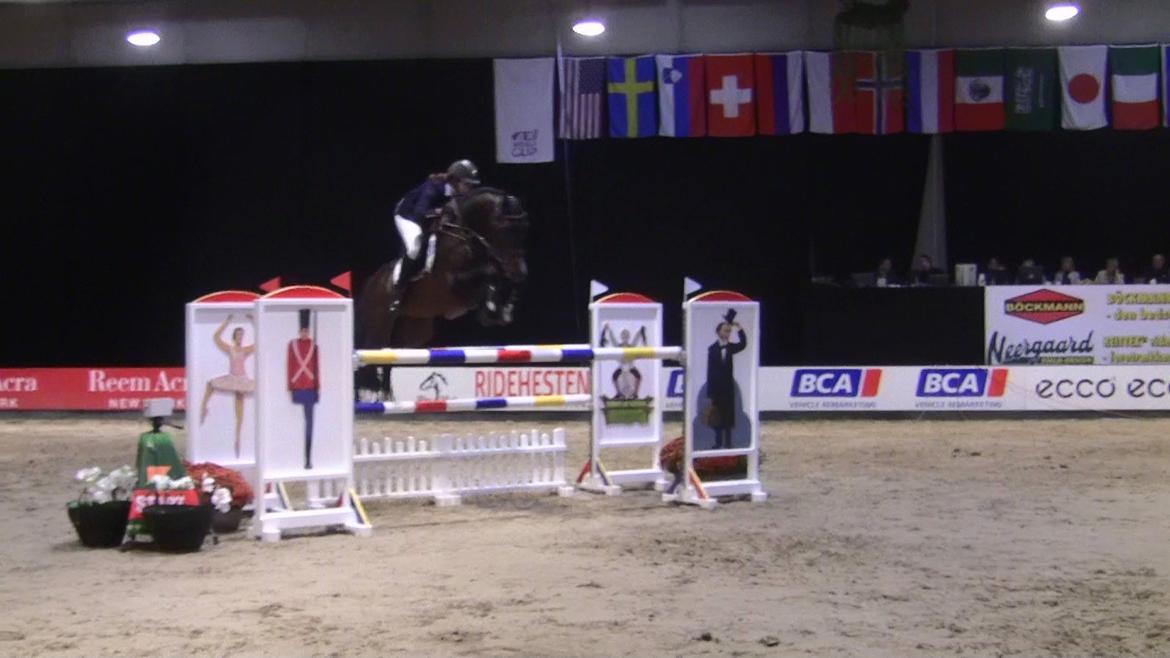 Dansk Varmblod - Caliber - JBK CSI* 135cm billede 15