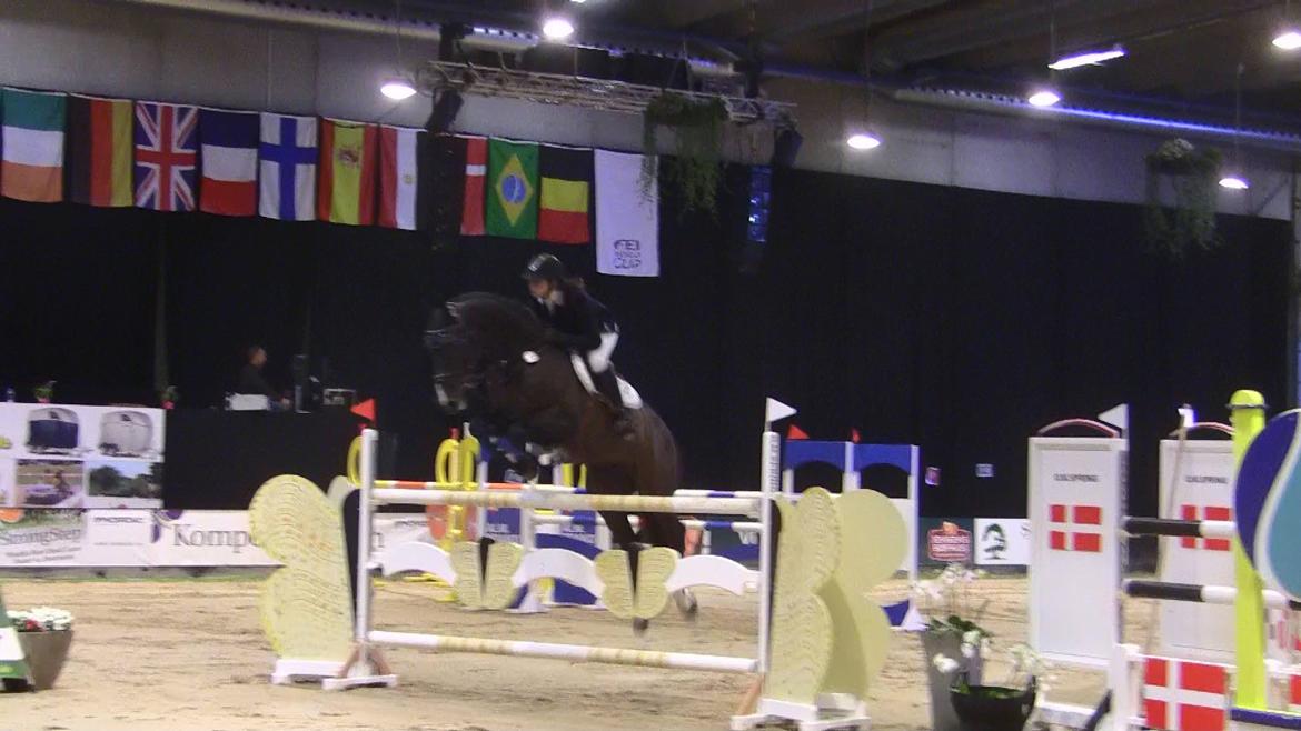 Dansk Varmblod - Caliber - JBK CSI* 135cm  billede 17