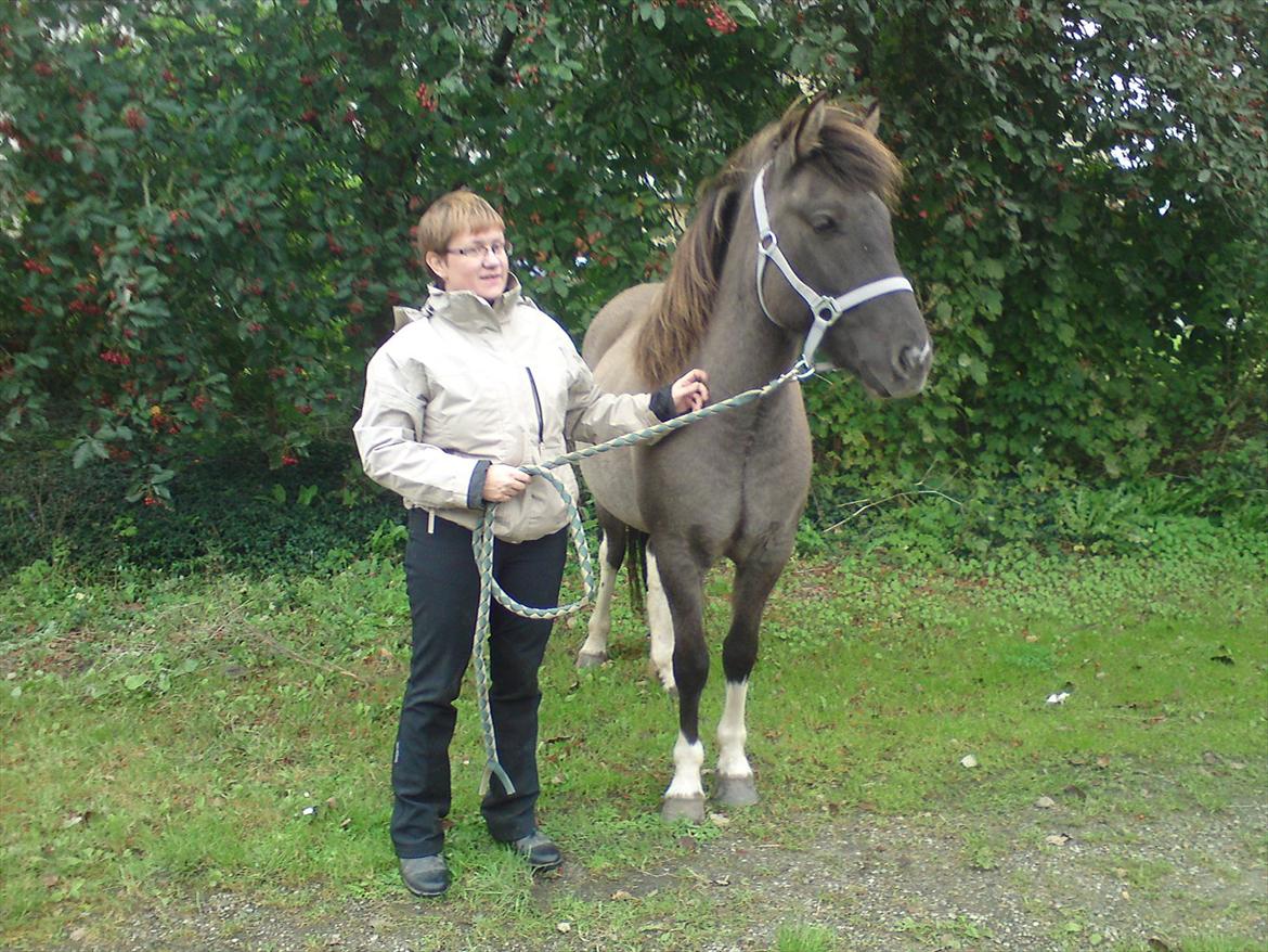 Islænder Assa fra Gjesbækgård - En glad og lettet ny ejer af Assa billede 1
