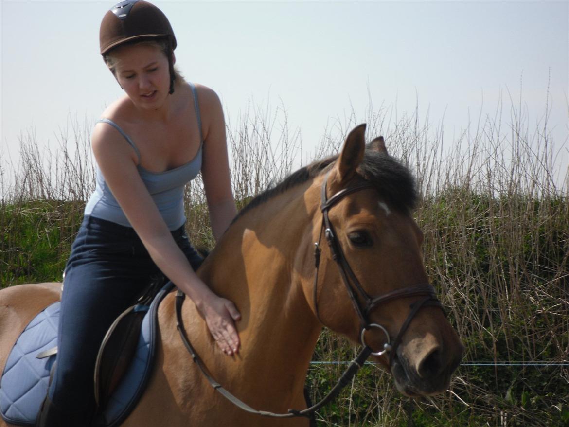 Anden særlig race Lucky  - du er mit et og alt. pony! billede 12