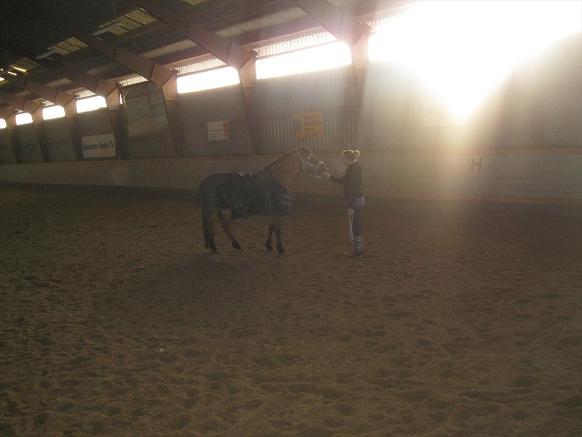 Anden særlig race Lucky  - i trust you. baby. billede 16