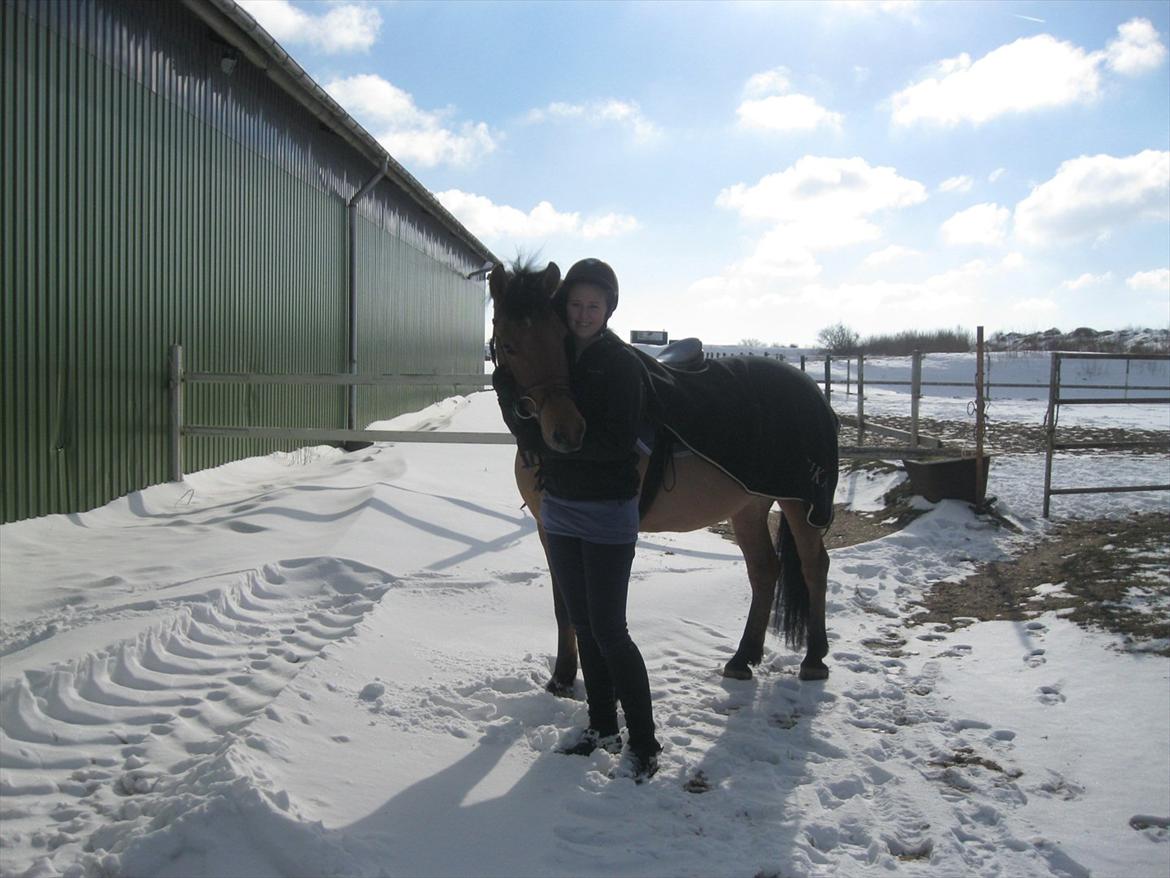 Anden særlig race Lucky  - dig og mig for altid. billede 8