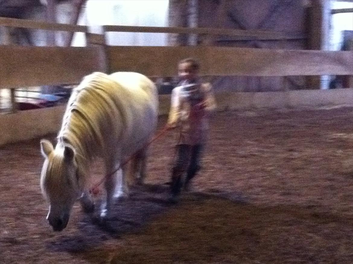 Anden særlig race Cirkeline billede 3