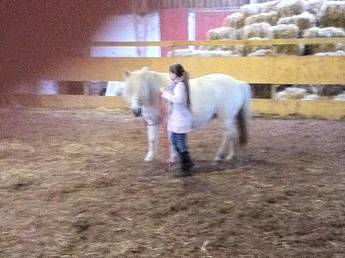 Anden særlig race Cirkeline billede 5