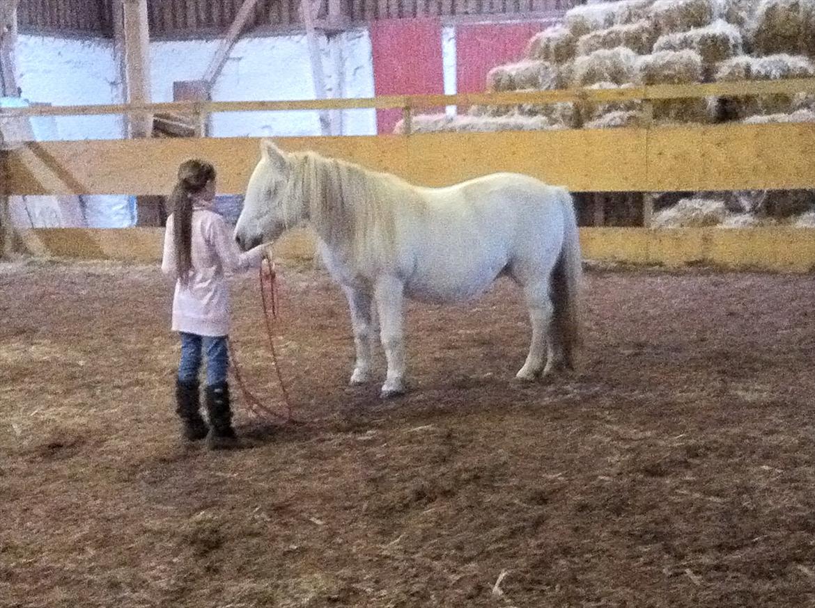 Anden særlig race Cirkeline billede 4