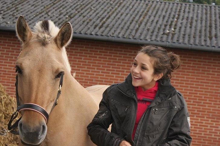 Fjordhest Beauty (solgt) - happy horse stævnet 2011.... Beauty sammen med Rebecca billede 7