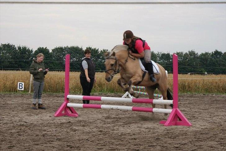 Fjordhest Beauty (solgt) - Happy horse stævnet 2011 (4. plads) billede 9