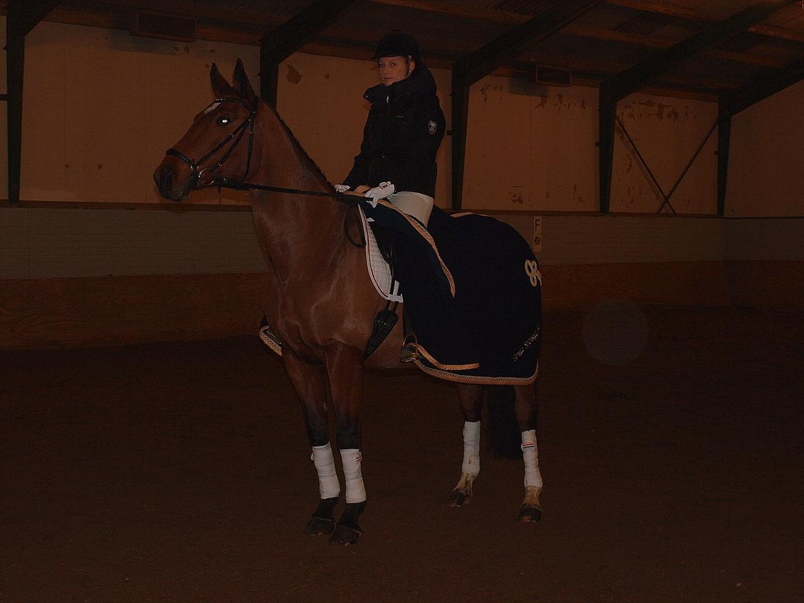 Dansk Varmblod TRÉSOR - Pernille og Trésor til klubmesterskab i dressur. -De fik en flot 3. plads :-D billede 9