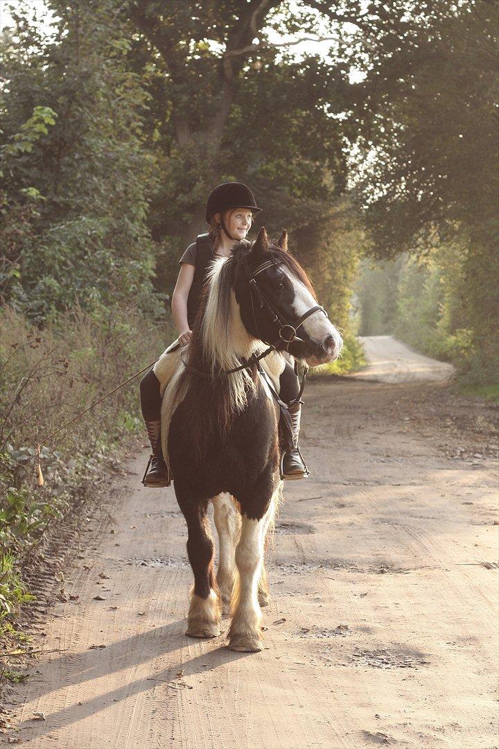 Tinker Sir Elliot - Jeg elsker ham af hele mit hjerte!!
Billede: Min far. billede 12