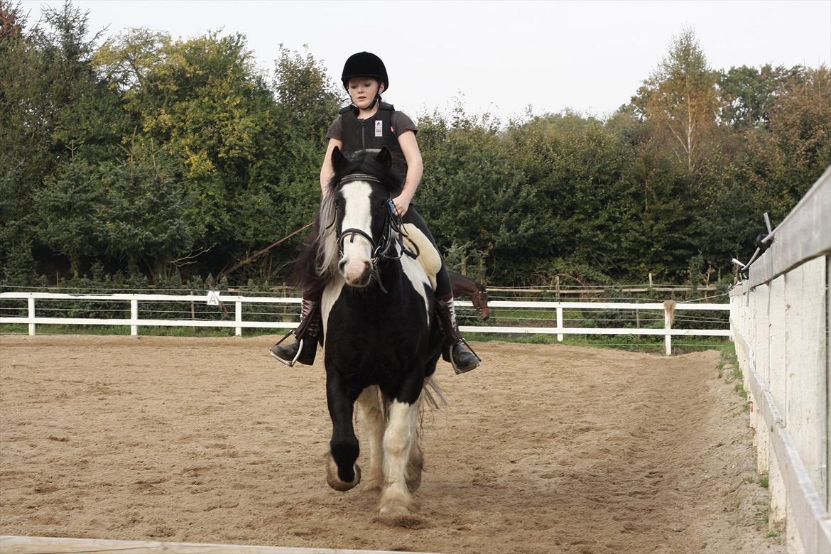 Tinker Sir Elliot - Billede: Min far:-) billede 13