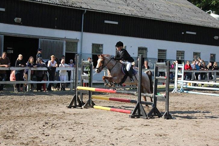 Anden særlig race Spiderman  (Napoli) - klubmestre 2011  LB** <3
Han sprang helt fantastisk!
 billede 6