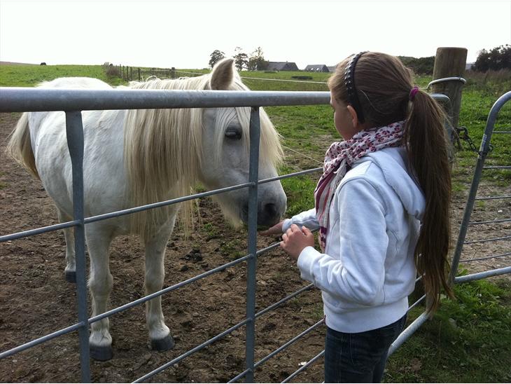 {{currentPhoto.altText}} billede {{currentPhoto.number}}