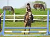 Anden særlig race Damgårds Maggie [Tidl. hest]