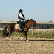 Anden særlig race Bech´s Bella Viva