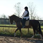 Anden særlig race Bech´s Bella Viva