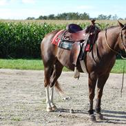 Paint Moreteenssdocbar (KID)