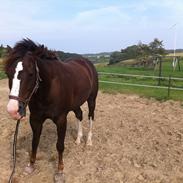 Paint Moreteenssdocbar (KID)