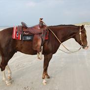 Paint Moreteenssdocbar (KID)