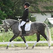 Anden særlig race Stjerne