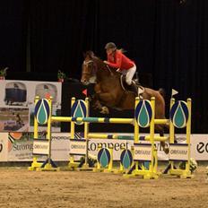 Holstener LERTEVANG'S CAILEX