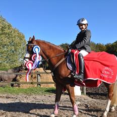 Welsh Pony (sec B) Bloklands Hoeve's Hilde<3....(Hilde)<3<3