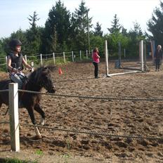 Pinto Mathilde - Altid min pony. :')